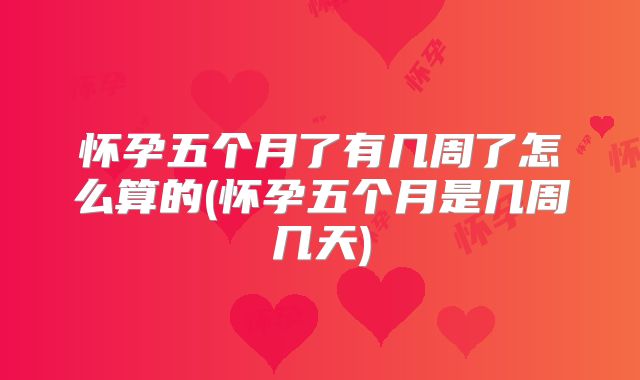 怀孕五个月了有几周了怎么算的(怀孕五个月是几周几天)