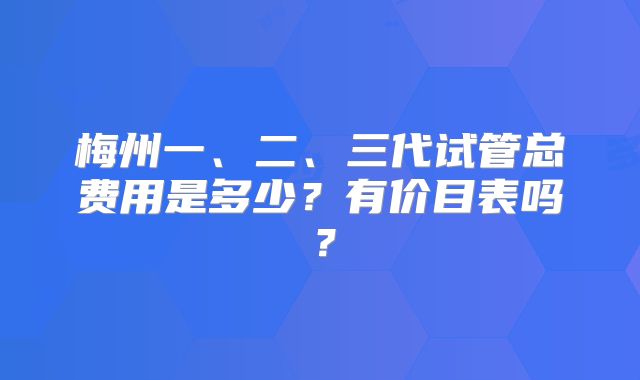 梅州一、二、三代试管总费用是多少？有价目表吗？