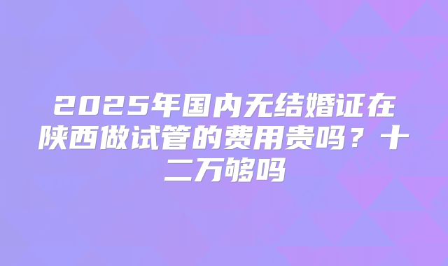 2025年国内无结婚证在陕西做试管的费用贵吗?十二万够吗