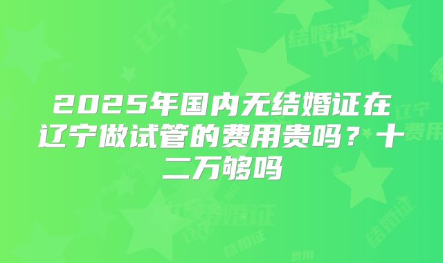 2025年国内无结婚证在辽宁做试管的费用贵吗?十二万够吗