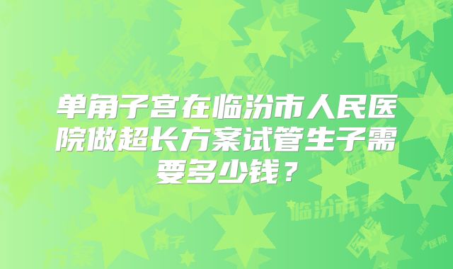 单角子宫在临汾市人民医院做超长方案试管生子需要多少钱？