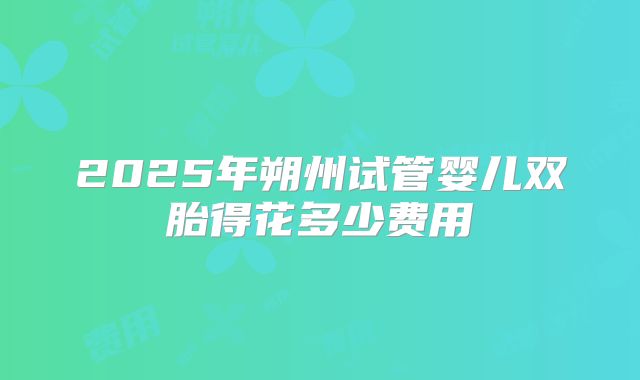 2025年朔州试管婴儿双胎得花多少费用