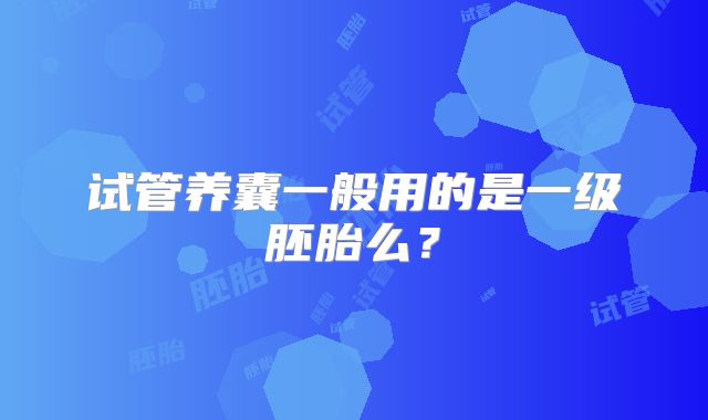 试管养囊一般用的是一级胚胎么?