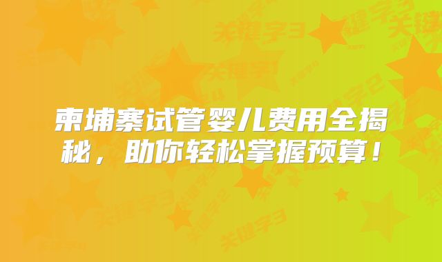 柬埔寨试管婴儿费用全揭秘，助你轻松掌握预算！