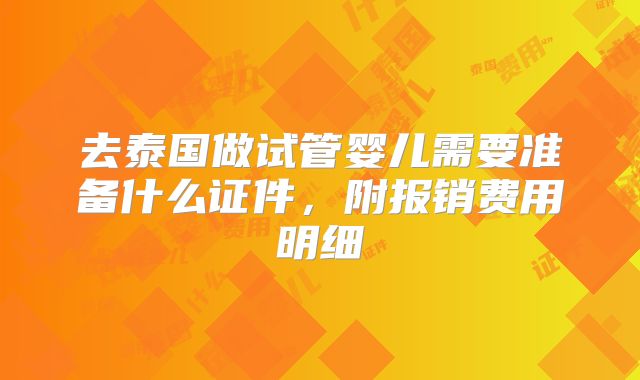 去泰国做试管婴儿需要准备什么证件,附报销费用明细