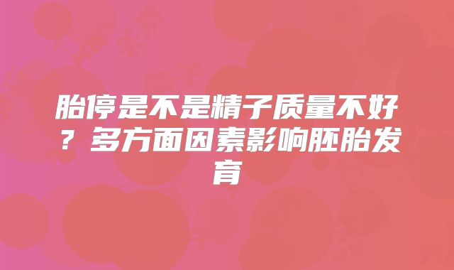 胎停是不是精子质量不好？多方面因素影响胚胎发育
