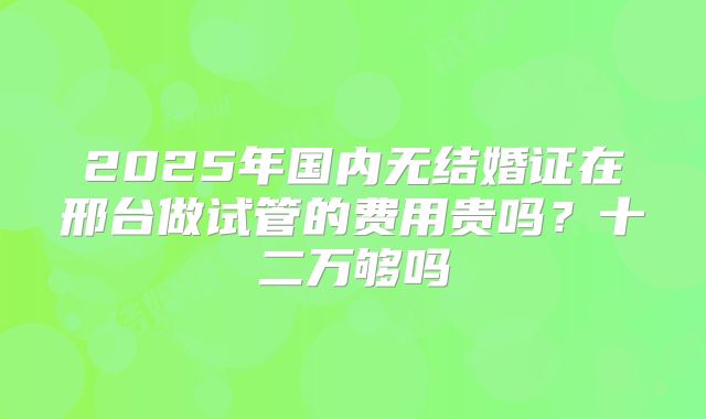 2025年国内无结婚证在邢台做试管的费用贵吗?十二万够吗