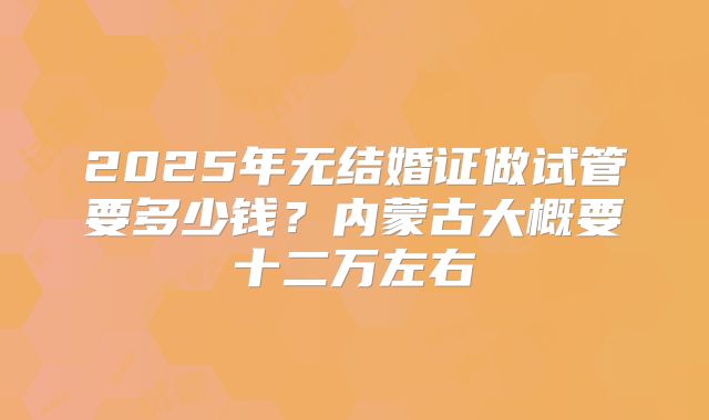 2025年无结婚证做试管要多少钱？内蒙古大概要十二万左右