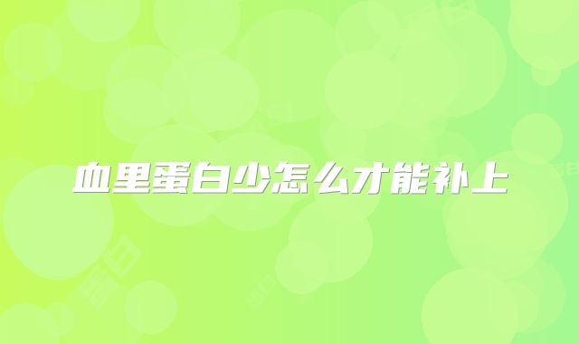 血里蛋白少怎么才能补上