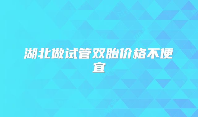 湖北做试管双胎价格不便宜