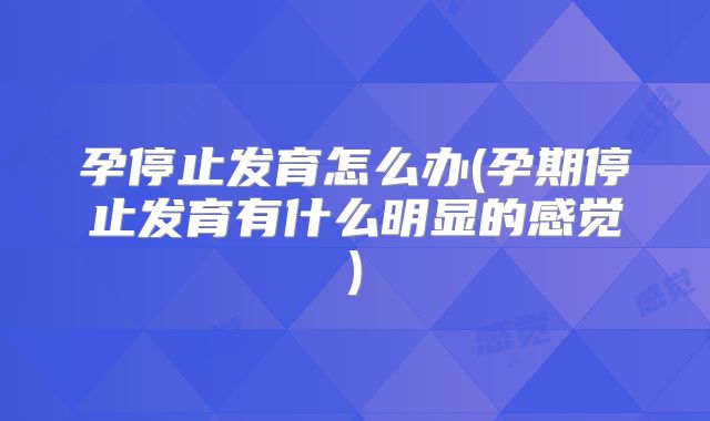 孕停止发育怎么办(孕期停止发育有什么明显的感觉)