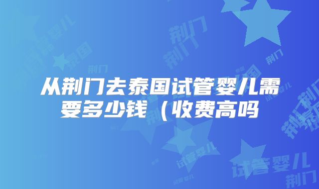 从荆门去泰国试管婴儿需要多少钱(收费高吗