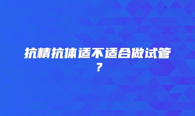 抗精抗体适不适合做试管？