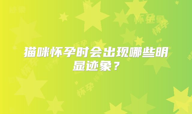 猫咪怀孕时会出现哪些明显迹象?