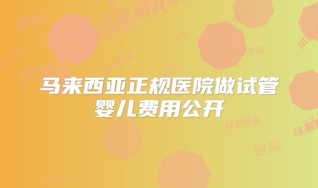 马来西亚正规医院做试管婴儿费用公开
