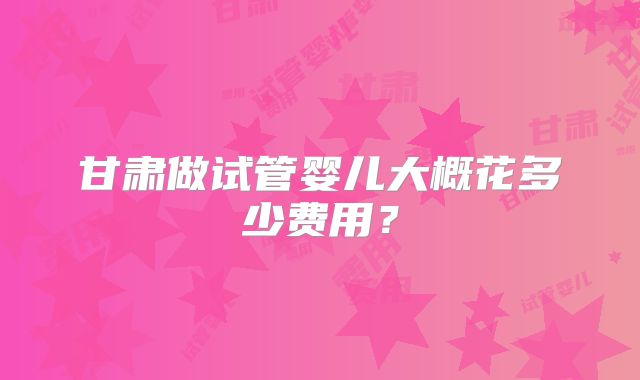 甘肃做试管婴儿大概花多少费用?