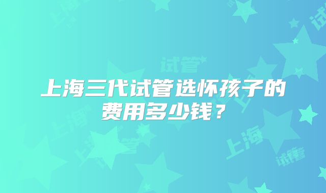 上海三代试管选怀孩子的费用多少钱？
