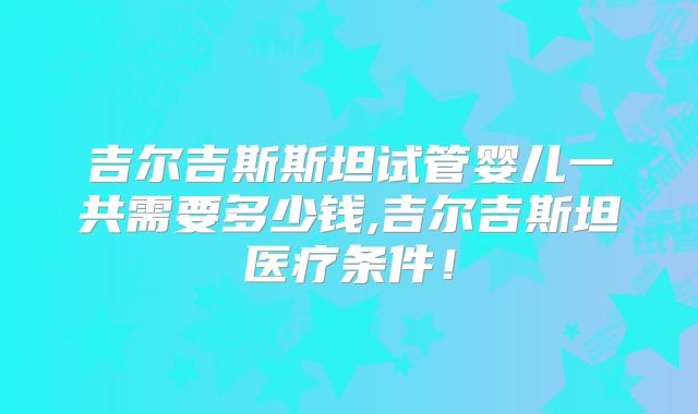 吉尔吉斯斯坦试管婴儿一共需要多少钱,吉尔吉斯坦医疗条件!