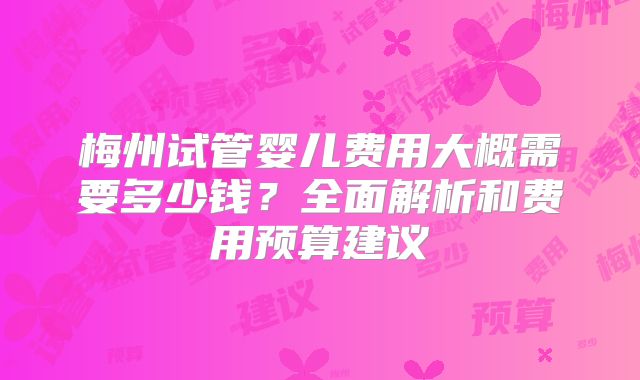 梅州试管婴儿费用大概需要多少钱？全面解析和费用预算建议
