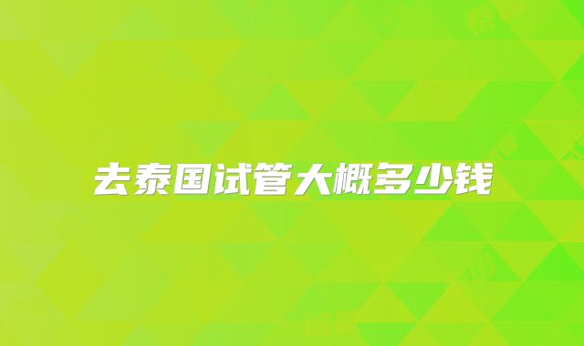 去泰国试管大概多少钱