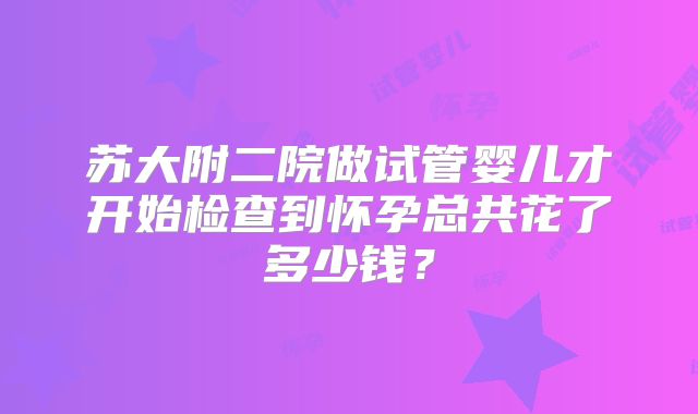苏大附二院做试管婴儿才开始检查到怀孕总共花了多少钱?