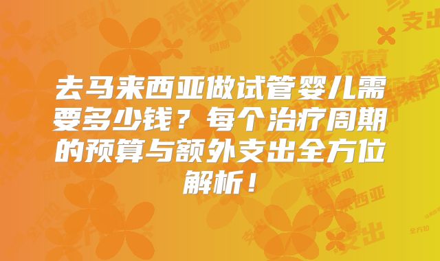 去马来西亚做试管婴儿需要多少钱？每个治疗周期的预算与额外支出全方位解析！