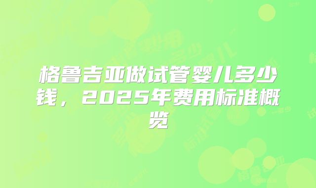 格鲁吉亚做试管婴儿多少钱，2025年费用标准概览