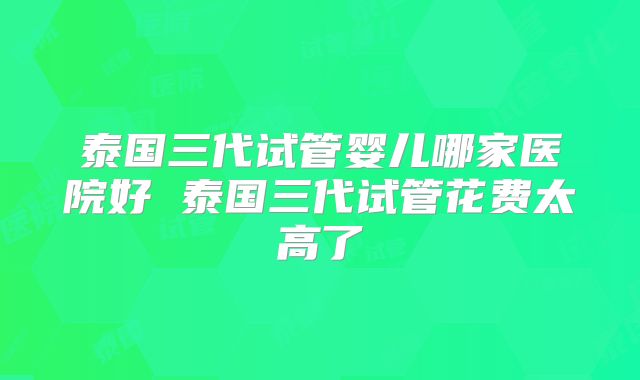 泰国三代试管婴儿哪家医院好 泰国三代试管花费太高了