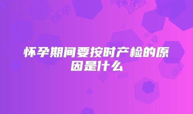怀孕期间要按时产检的原因是什么