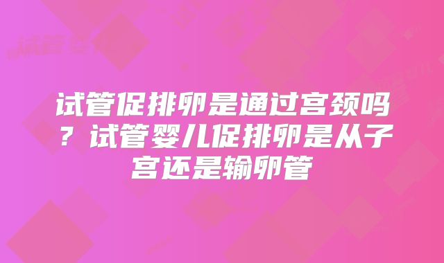 试管促排卵是通过宫颈吗？试管婴儿促排卵是从子宫还是输卵管