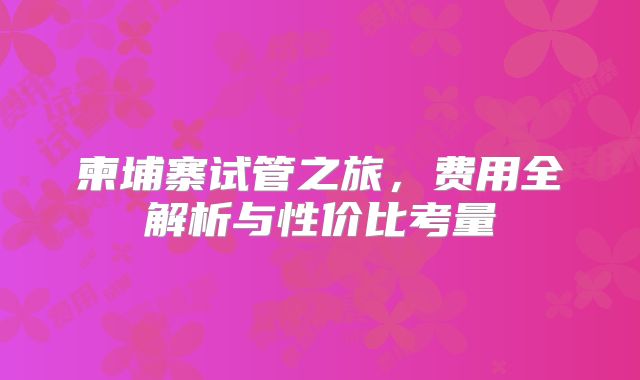 柬埔寨试管之旅，费用全解析与性价比考量