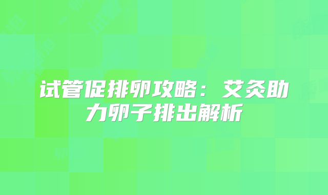 试管促排卵攻略：艾灸助力卵子排出解析
