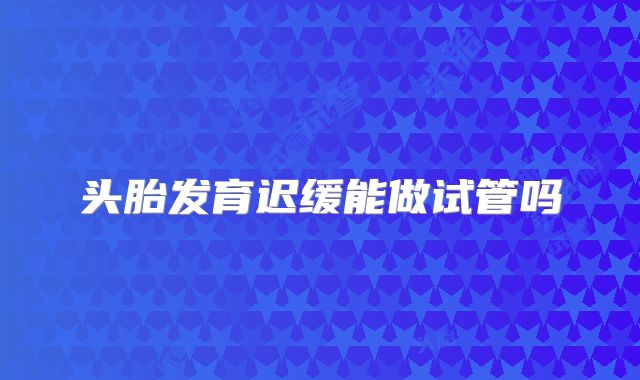 头胎发育迟缓能做试管吗