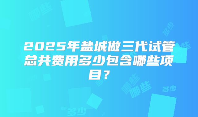 2025年盐城做三代试管总共费用多少包含哪些项目?