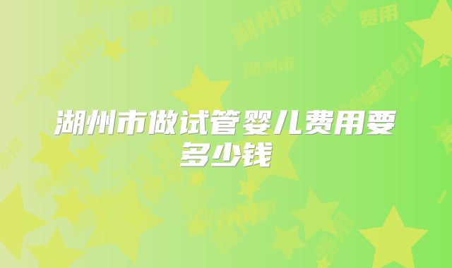 湖州市做试管婴儿费用要多少钱