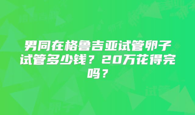男同在格鲁吉亚试管卵子试管多少钱？20万花得完吗？