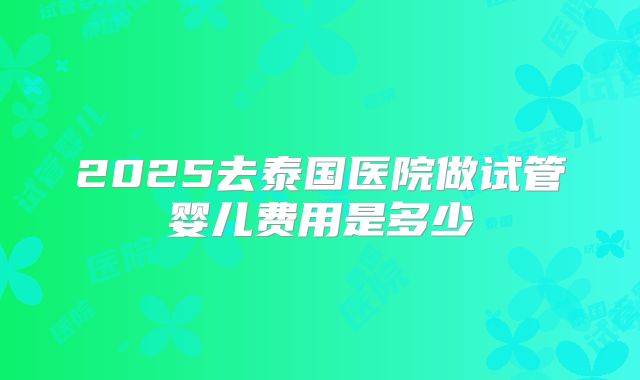 2025去泰国医院做试管婴儿费用是多少