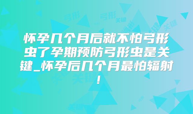 怀孕几个月后就不怕弓形虫了孕期预防弓形虫是关键_怀孕后几个月最怕辐射!