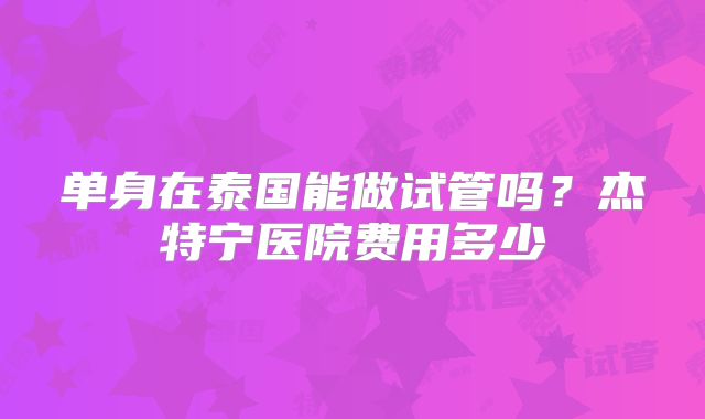 单身在泰国能做试管吗?杰特宁医院费用多少