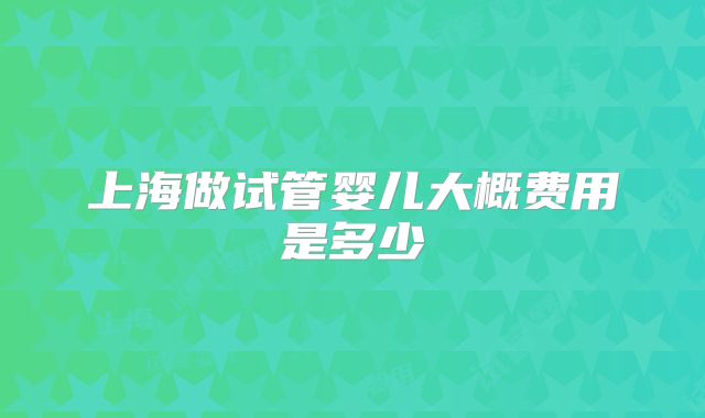 上海做试管婴儿大概费用是多少