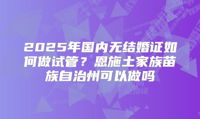 2025年国内无结婚证如何做试管？恩施土家族苗族自治州可以做吗