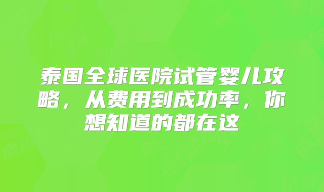 泰国全球医院试管婴儿攻略,从费用到成功率,你想知道的都在这