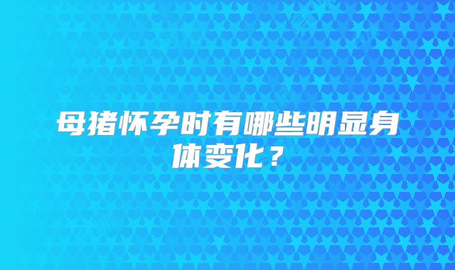 母猪怀孕时有哪些明显身体变化?