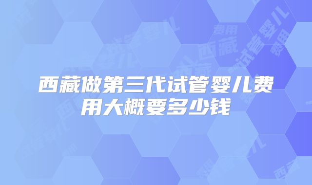 西藏做第三代试管婴儿费用大概要多少钱