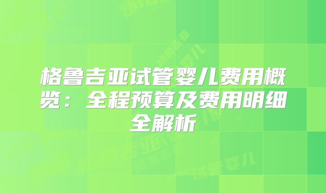 格鲁吉亚试管婴儿费用概览：全程预算及费用明细全解析