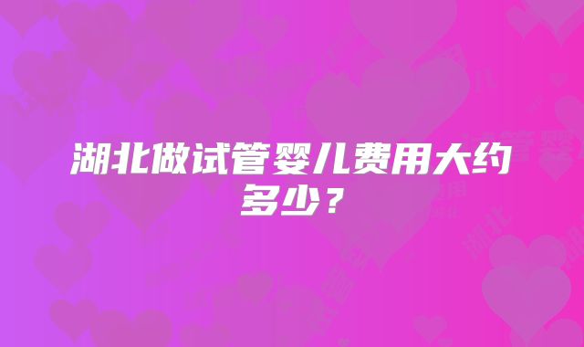 湖北做试管婴儿费用大约多少?