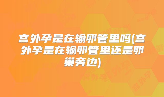 宫外孕是在输卵管里吗(宫外孕是在输卵管里还是卵巢旁边)