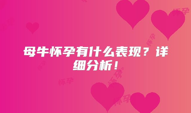 母牛怀孕有什么表现？详细分析！