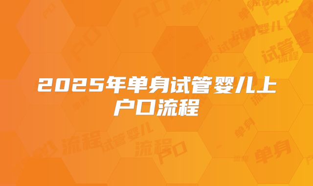 2025年单身试管婴儿上户口流程