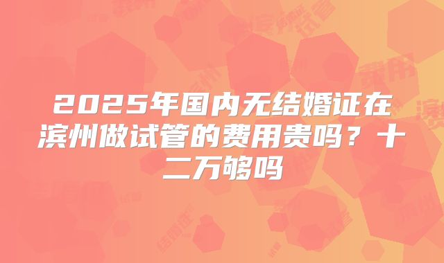 2025年国内无结婚证在滨州做试管的费用贵吗？十二万够吗